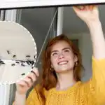 Hmyz sa bude držať ďalej od domu: čo dať na parapet Hmyz sa bude držať ďalej od domu: čo dať na